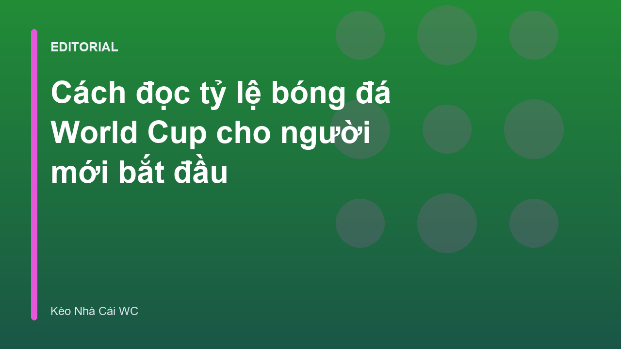 Hướng dẫn đọc tỷ lệ bóng đá World Cup cho người mới